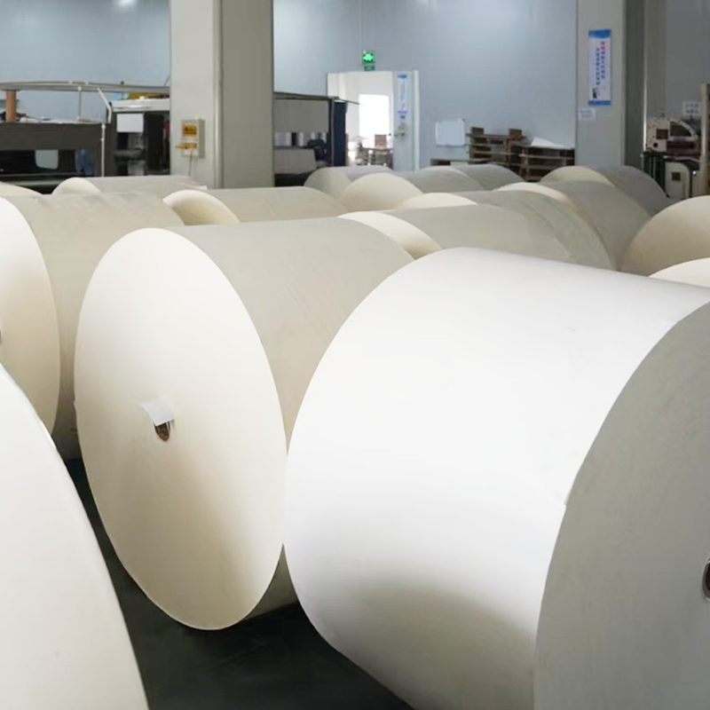 可堆肥无塑涂层卷筒纸